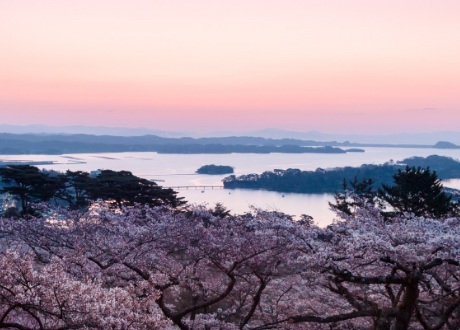 Matsushima bay