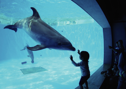 Kujukushima Dolphin’s Pool