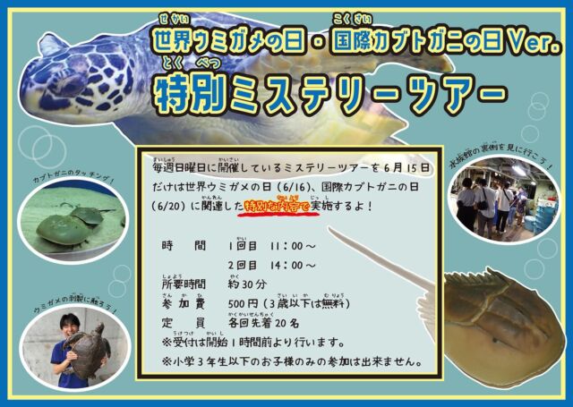 【✨✨海きららイベント情報✨✨】
6月15日(日)は、この日だけの特別なイベントを
実施します📢
毎週日曜日に行っているミステリーツアーを
15日だけはウミガメとカブトガニに特化した特別な
内容で実施します!!!!
ウミガメとカブトガニが好きな人は
海きららに集合〜🙋♂️
#海きらら #九十九島水族館 #長崎
#水族館 #さかな #ウミガメ #カブトガニ
#特別イベント #涼しい #あそびにきてね🙌