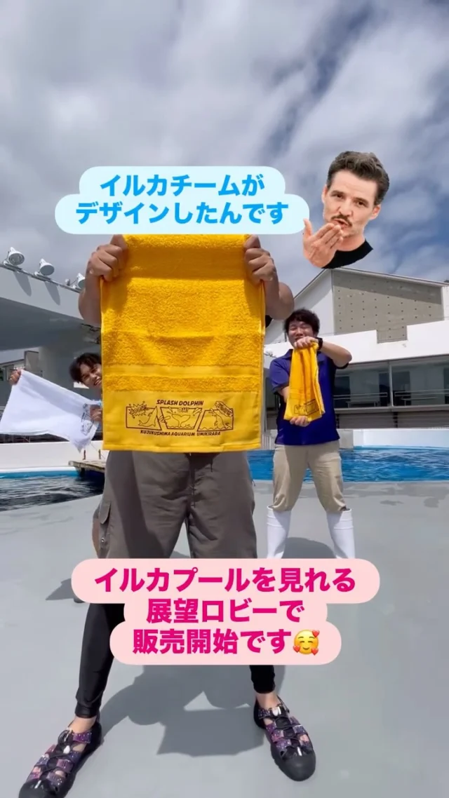 今年の夏も暑いですね‼️
7月5日(土)イルカチームがデザインした
オリジナルタオル販売開始ですよー🐬
ナミとニーハに水しぶきのプレゼントを
もらった方や暑いこの時期、お客様を
見ながら作りたかったそーです🥰
シンプルですがイチから考案し実現しました。
記念に、お土産にもお使いください。
税込500円。イルカプールの見える
展望ロビーや真珠コーナーで販売です‼️
ナミちゃんが少し体調を崩しておりますが
イルカチームに見守られながら
皆さまに水しぶきのプレゼントが
出来るよう穏やかに過ごしております🌈
会いに来てくださいね🥰
・
#海きらら
#九十九島パールシーリゾート
#九十九島
#水族館
#パールシー
#佐世保
#長崎
#九十九島水族館
#イルカ
#ナミ
#ニーハ
#オリジナルタオル
#限定
#夏
#2025
#kujukushimaaquarium
#sasebo
#nagasaki
#ワンコイン
#500円
お待ちしておりまーす🐬
・
監督暑かった…