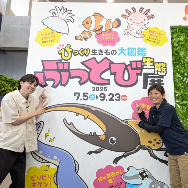 本日13:30よりNIB長崎国際テレビ「ひるじげドン」にてパールシーリゾートが紹介されます!
夏のイベント盛りだくさんの内容になっています👀
是非ご覧下さい✨
#ひるじげドン