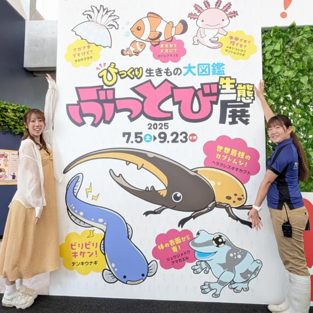 このあと16:00より、KTNテレビ長崎の「マルッと!」にて九十九島水族館海きららから中継いたします👀
是非観てください!!!
#海きらら
#ktn