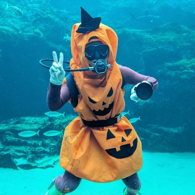 【海きららイベント情報📣】
海きららの10月は館内がハロウィン仕様に👻🍭🎃🧙‍♀️🐈‍⬛ 
飼育スタッフ達もハロウィンの装いになっています✨
また、特設水槽や館内で謎解きにチャレンジできるイベントも盛りだくさん！
詳細はこちらから👇
https://www.pearlsea.jp/eventp/?event_p=23687
是非遊びに来てください！！
 #海きらら
 #ハロウィン🎃