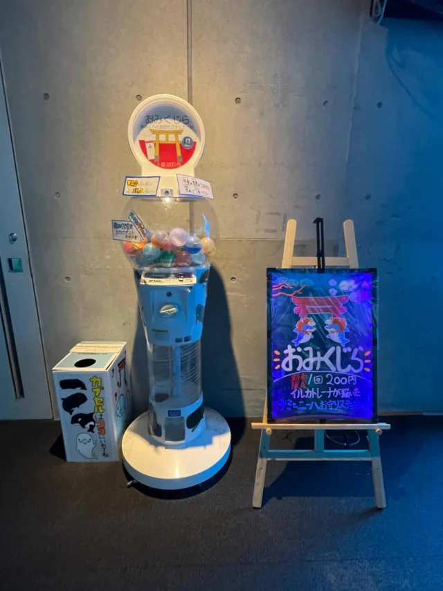 皆さん、明けましておめでとうございます。🎍🌅🎍
本年も海きらら、バンドウイルカのナミとニーハをよろしくお願いいたします。🙇‍♀️🥳

1月1日から新春限定、おみくじら販売中です！イルカ飼育員手作りのキラキラステッカー付きのおみくじぜひ運試しに回しに来てください✨🐬
⁡
販売場所は、１階イルカプールアクリル面横になります。
皆さんぜひ遊びに来てください😊