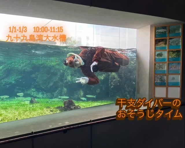 海きらら　お正月特別企画！

馬ダイバーが九十九島湾大水槽に登場！正月三が日限定ですので、ぜひお越しください😊✨

#海きらら #正月イベント #干支ダイバー